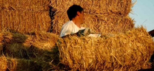 Picture 0 for Φορολογικά αντίβαρα για αγρότες ψάχνει η κυβέρνηση