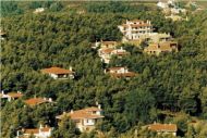 Δηλώσεις αυθαιρέτων μέσα σε δάση - Ανοίγει η ηλεκτρονική πλατφόρμα