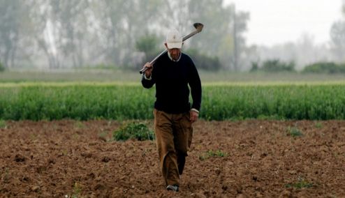 Picture 0 for Αγρότες: Έρχονται οι πληρωμές του 2023 - Τα μέτρα ενίσχυσης του αγροτικού εισοδήματος