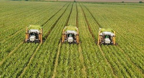 Picture 0 for ΑΑΔΕ: Επαναλειτουργεί το myBusinessSupport για διορθώσεις ΑΤΑΚ/ΚΑΕΚ